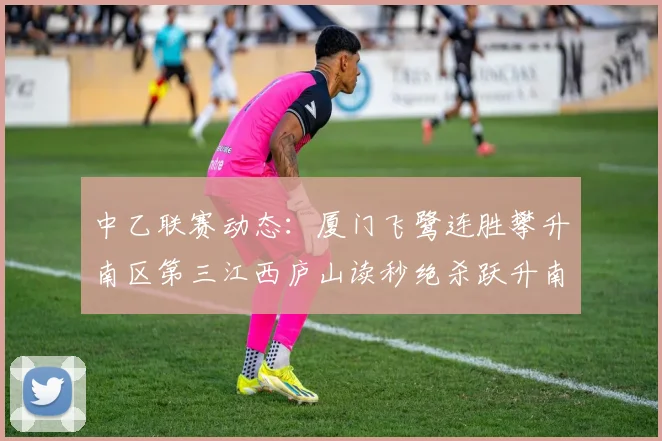 中乙联赛动态：厦门飞鹭连胜攀升南区第三江西庐山读秒绝杀跃升南区第四