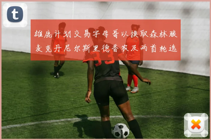 雄鹿计划交易字母哥以换取森林狼麦克丹尼尔斯里德香农及两首轮选秀权